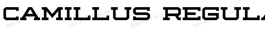 Camillus Regular字体转换 Camillus Regular字体转换
